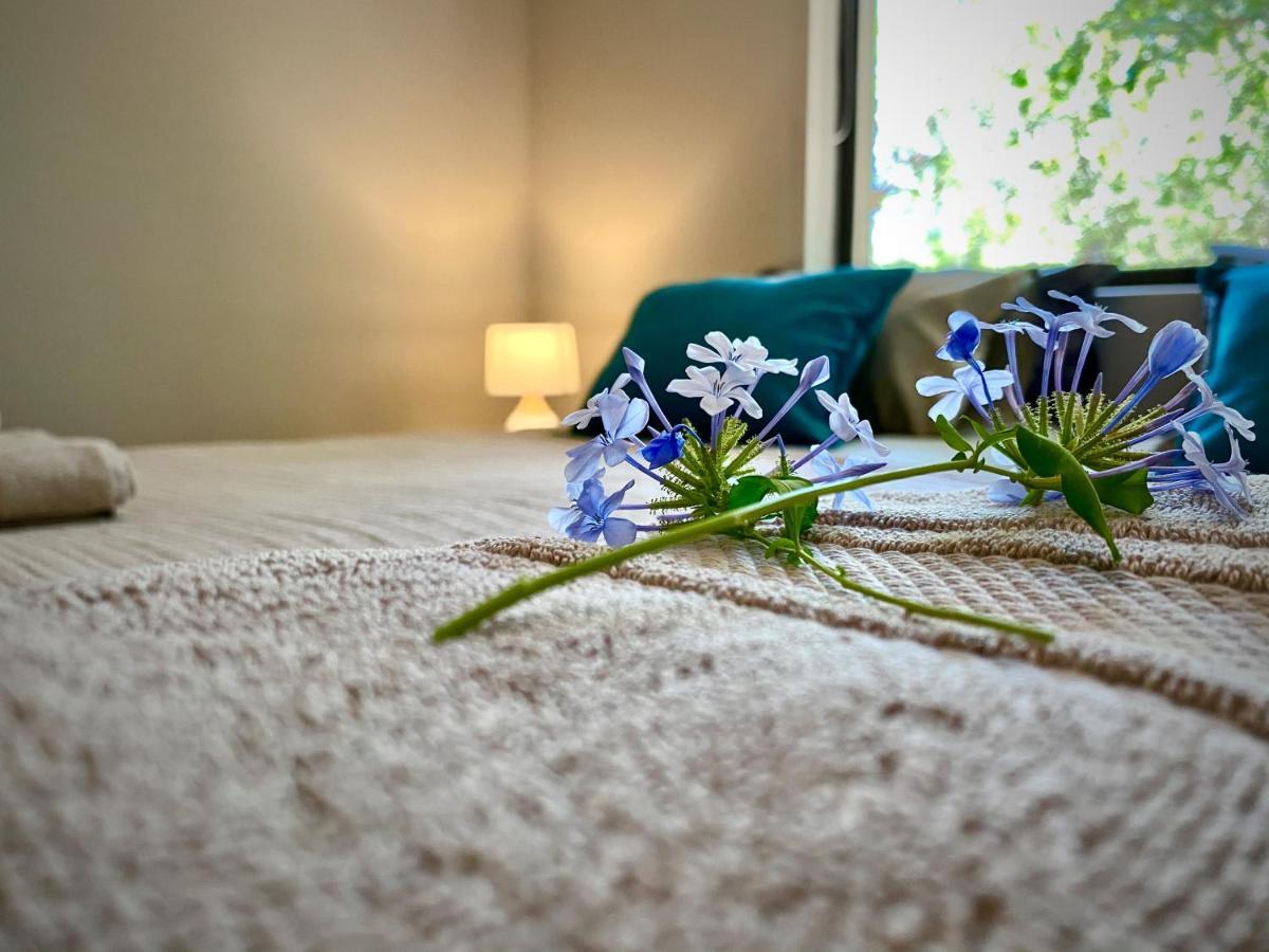 Jackals Dream - Self Catering Villa Bordering Kruger National Park Marloth Park Ngoại thất bức ảnh