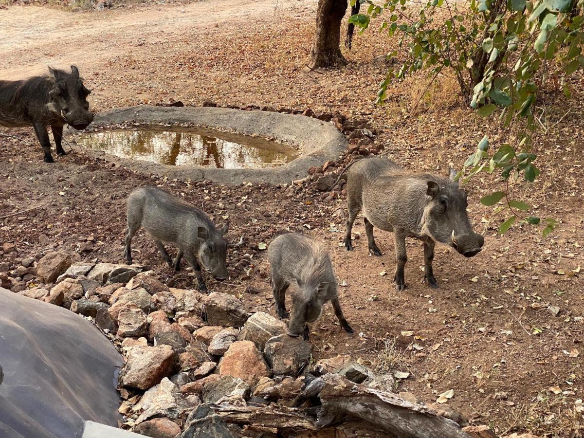 Jackals Dream - Self Catering Villa Bordering Kruger National Park Marloth Park Ngoại thất bức ảnh