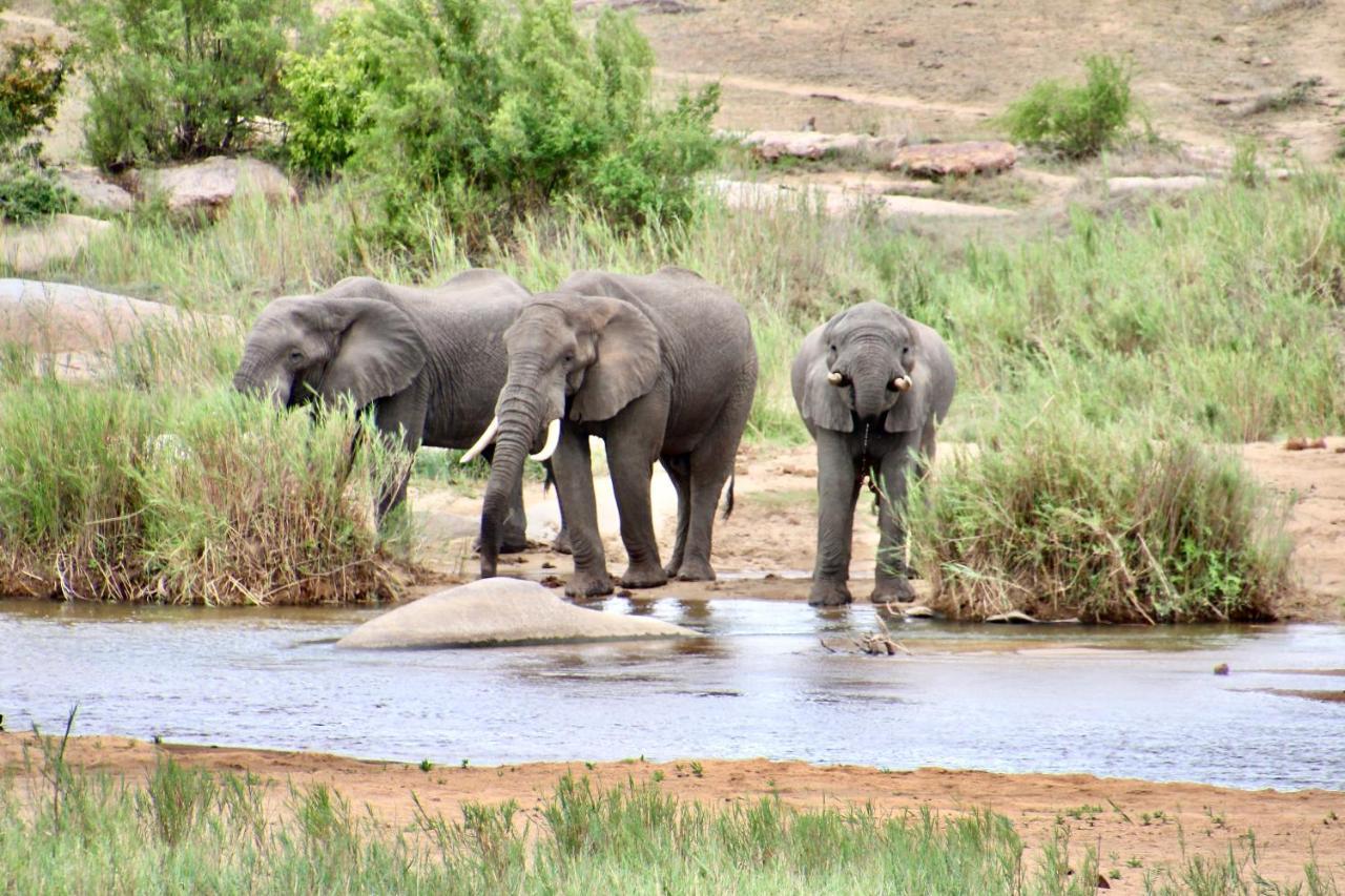 Jackals Dream - Self Catering Villa Bordering Kruger National Park Marloth Park Ngoại thất bức ảnh