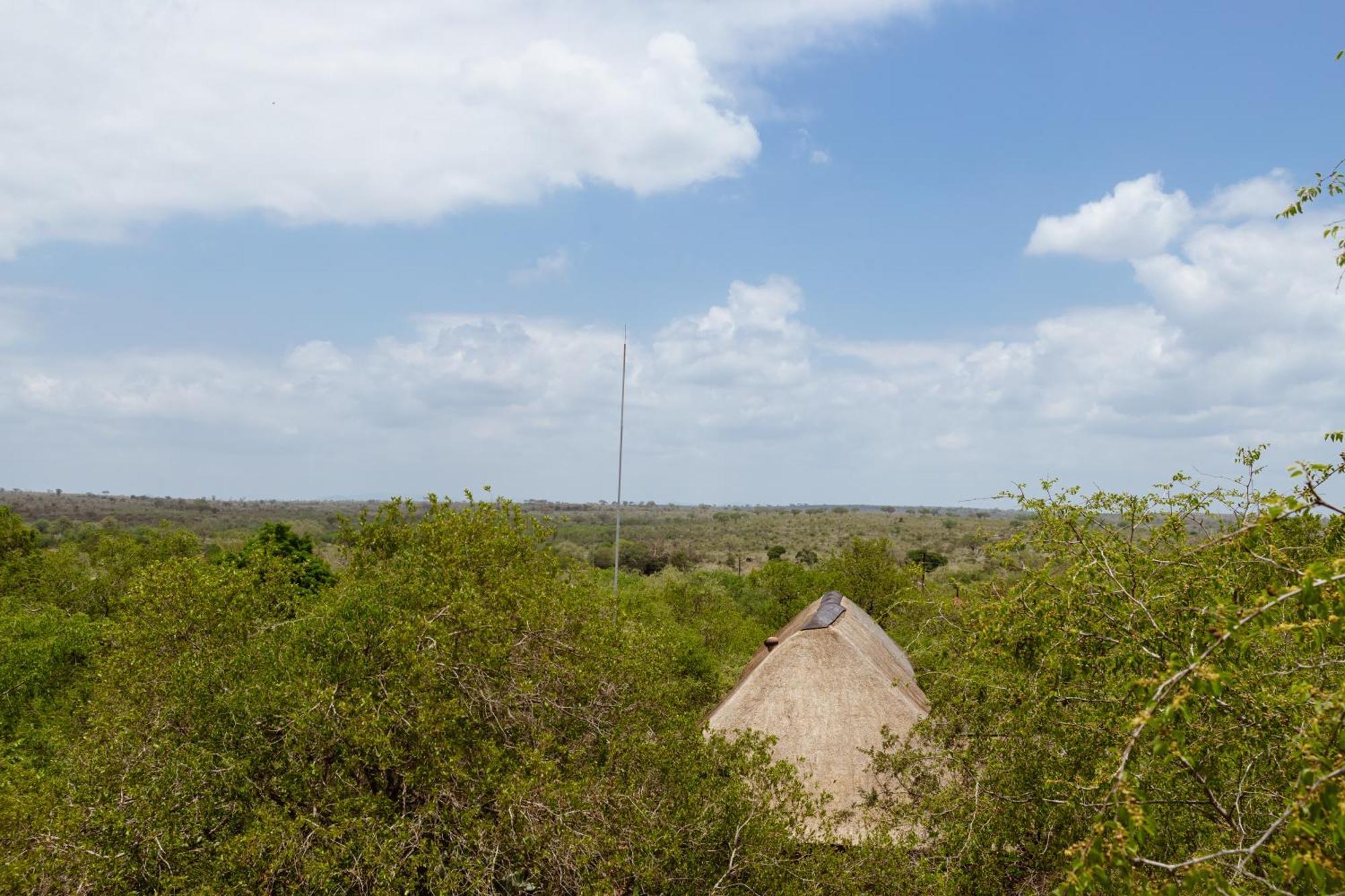 Jackals Dream - Self Catering Villa Bordering Kruger National Park Marloth Park Ngoại thất bức ảnh
