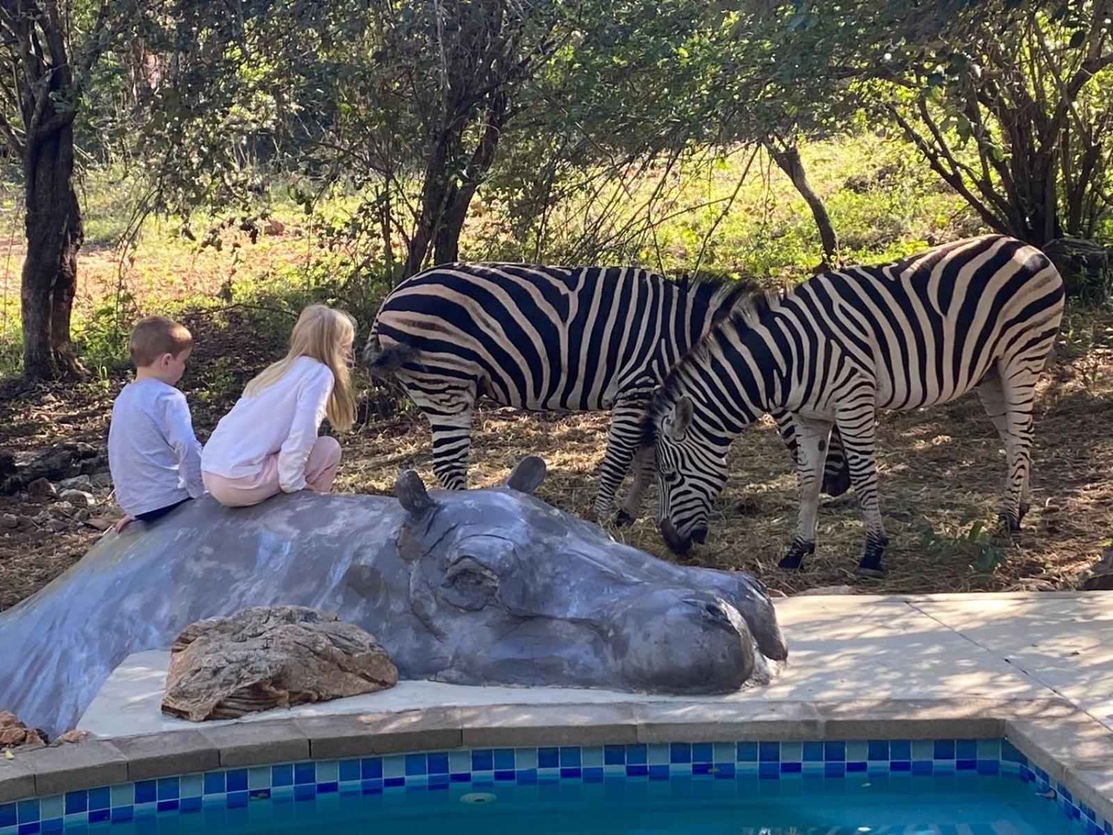 Jackals Dream - Self Catering Villa Bordering Kruger National Park Marloth Park Ngoại thất bức ảnh